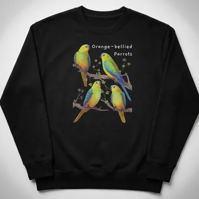 Illustration of four colorful parrots perched on branches in green, blue, yellow, and orange — printed on a unisex sweatshirt