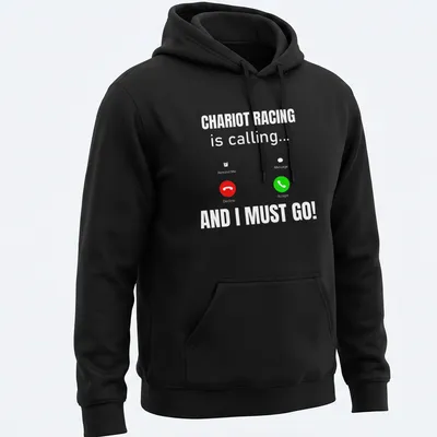Funny Chariot Racing T-shirt with humorous text in vibrant colors — printed on a unisex hoodie