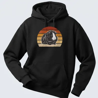 Retro distressed print of a long-haired guinea pig surrounded by rainbow colors — printed on a unisex hoodie