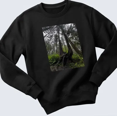 Illustration of intricate tree roots in a natural landscape with earthy colors — printed on a unisex sweatshirt