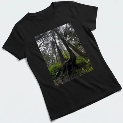 Illustration of intricate tree roots in a natural landscape with earthy colors — printed on a women's shirt