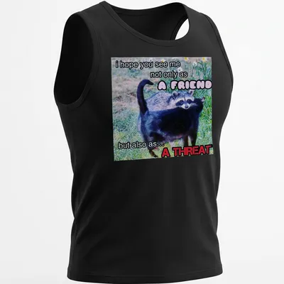 Humorous T-shirt with raccoon design and funny text about friendship and threat — printed on a tank top