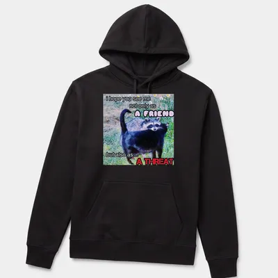 Humorous T-shirt with raccoon design and funny text about friendship and threat — printed on a unisex hoodie