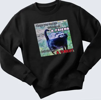 Humorous T-shirt with raccoon design and funny text about friendship and threat — printed on a unisex sweatshirt