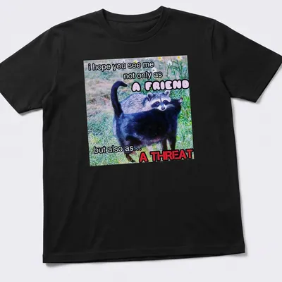 Humorous T-shirt with raccoon design and funny text about friendship and threat — printed on a unisex t-shirt