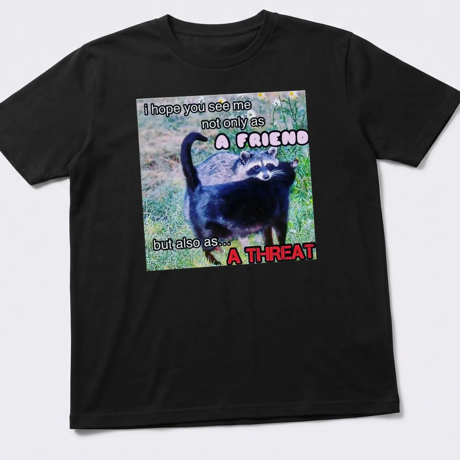 Humorous T-shirt with raccoon design and funny text about friendship and threat — printed on a unisex t-shirt