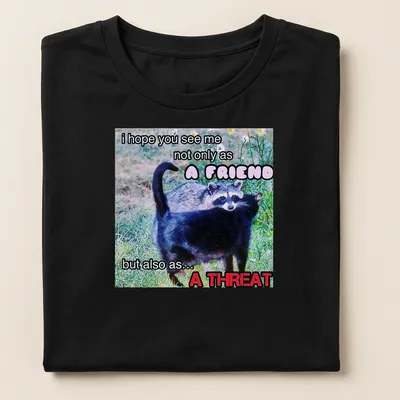 Humorous T-shirt with raccoon design and funny text about friendship and threat — printed on a women's shirt