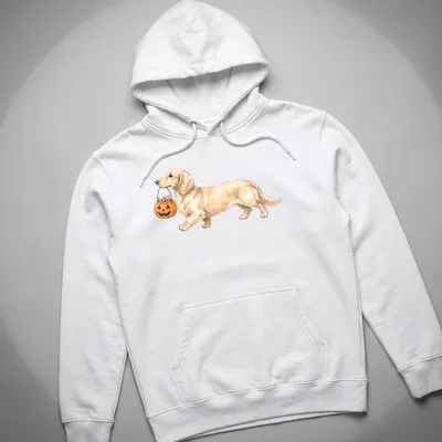 Watercolor Halloween tee featuring a dachshund with Trick Or Treat text — printed on a unisex hoodie