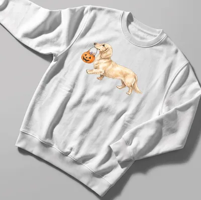 Watercolor Halloween tee featuring a dachshund with Trick Or Treat text — printed on a unisex sweatshirt