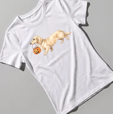 Watercolor Halloween tee featuring a dachshund with Trick Or Treat text — printed on a women's shirt