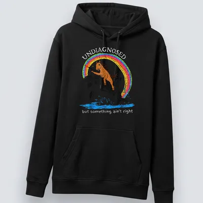 Colorful cartoon of a horse riding an orca with a rainbow, text included — printed on a unisex hoodie