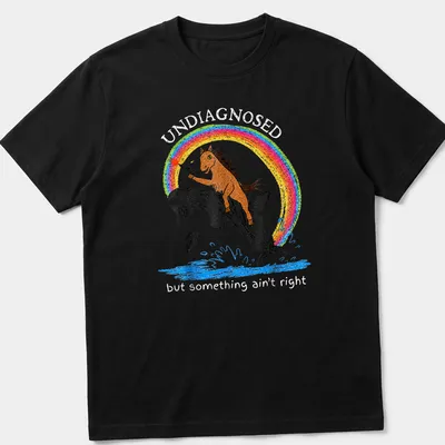 Colorful cartoon of a horse riding an orca with a rainbow, text included